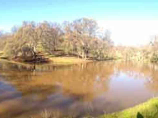 Recent rains bring a creek to life at the Audubon Bobcat Ranch