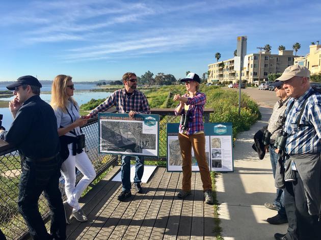 San Diego Audubon leads a tour of ReWild Mission Bay