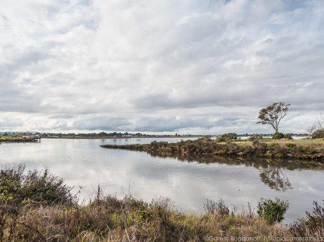 Measure AA campaign shows Bay Area residents’ deep appreciation for area’s greatest natural treasure 