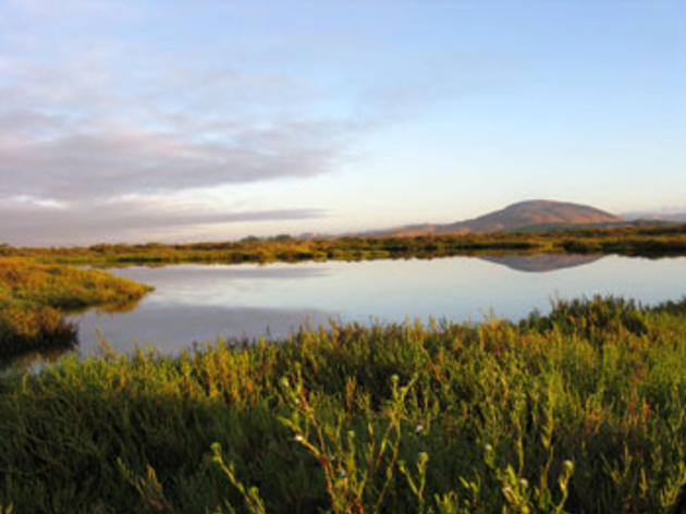 Getting to work at the San Pablo Bay National Wildlife Refuge