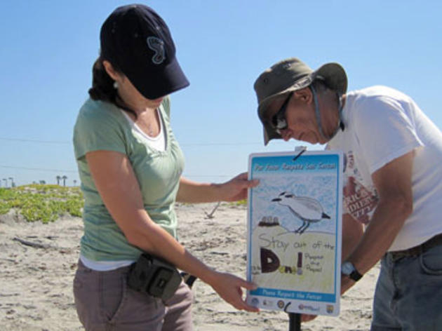 Students making a difference for the Western Snowy Plover with their art