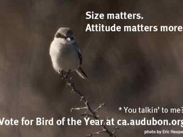 Attitude matters more