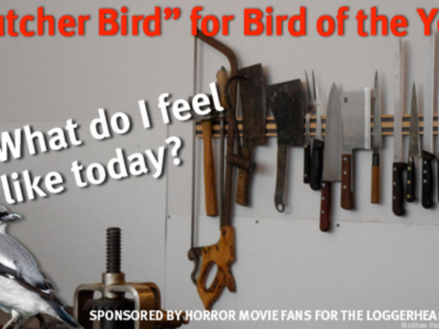 Horror movie fans urge you to vote Loggerhead Shrike this fall