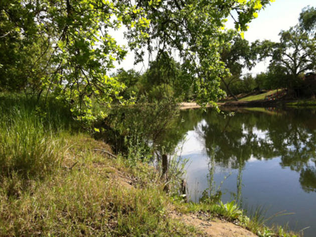 San Joaquin water bill (HR 3964) is ‘nothing but a step back’