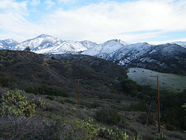 Snow at Starr Ranch