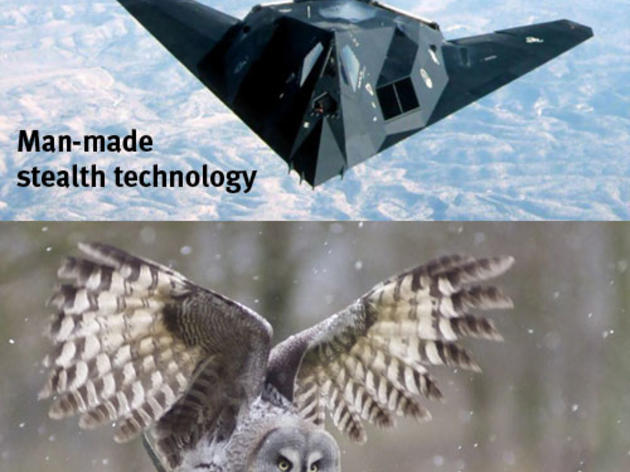 Man-made stealth technology vs. Natural stealth technology