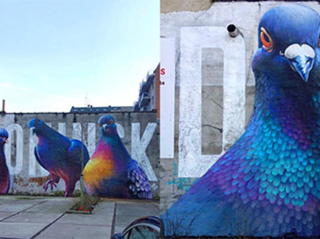 Very cool murals of pigeons