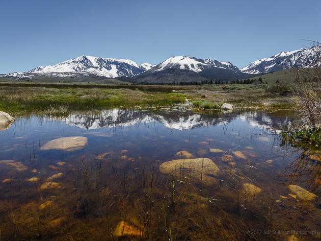 Audubon California statement on passage of vital wetlands protection policy