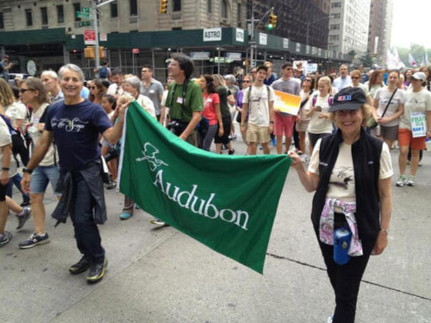 Audubon at the climate march