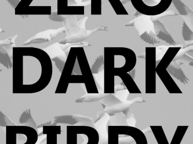 Zero Dark Birdy
