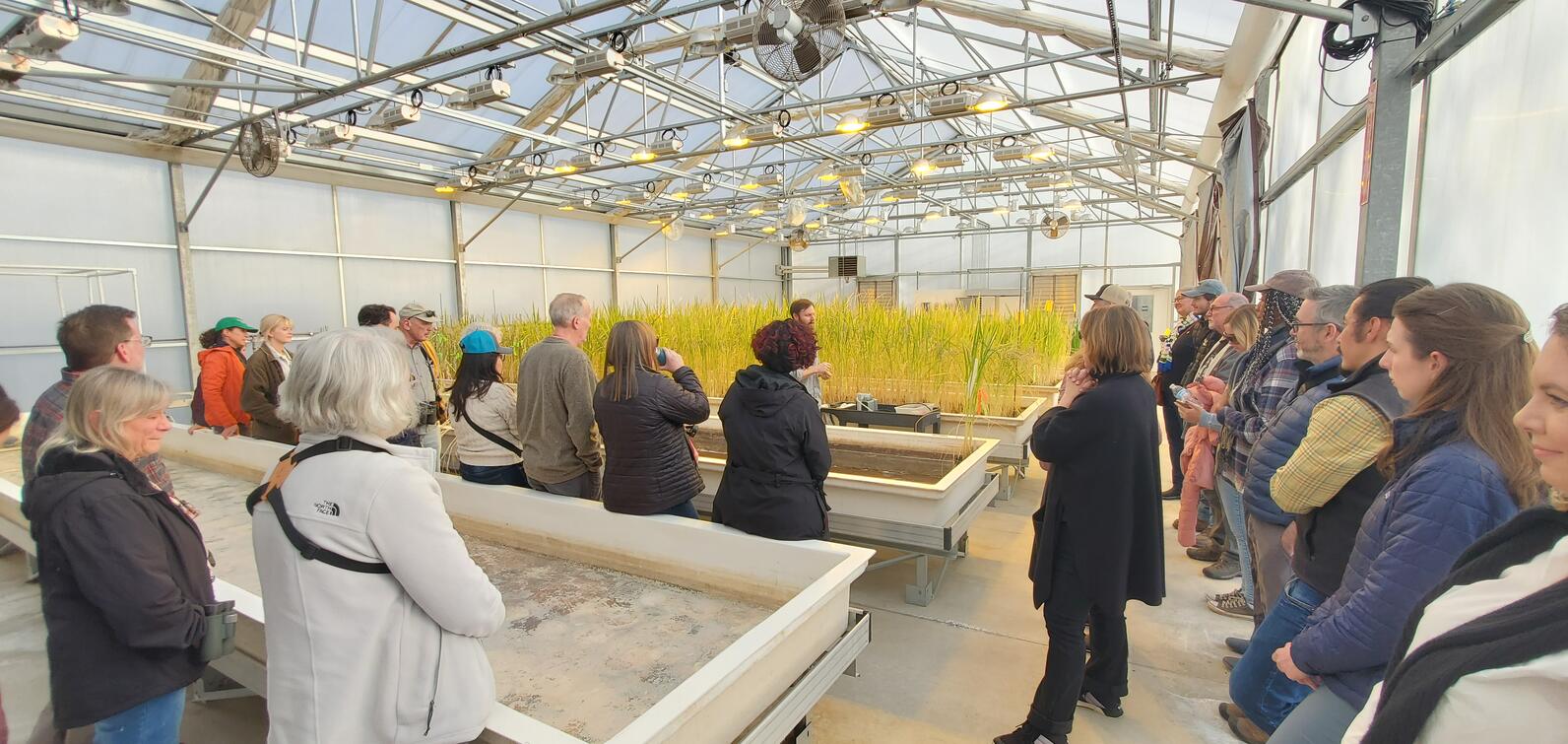 The ACA Board tours Lundberg Farms