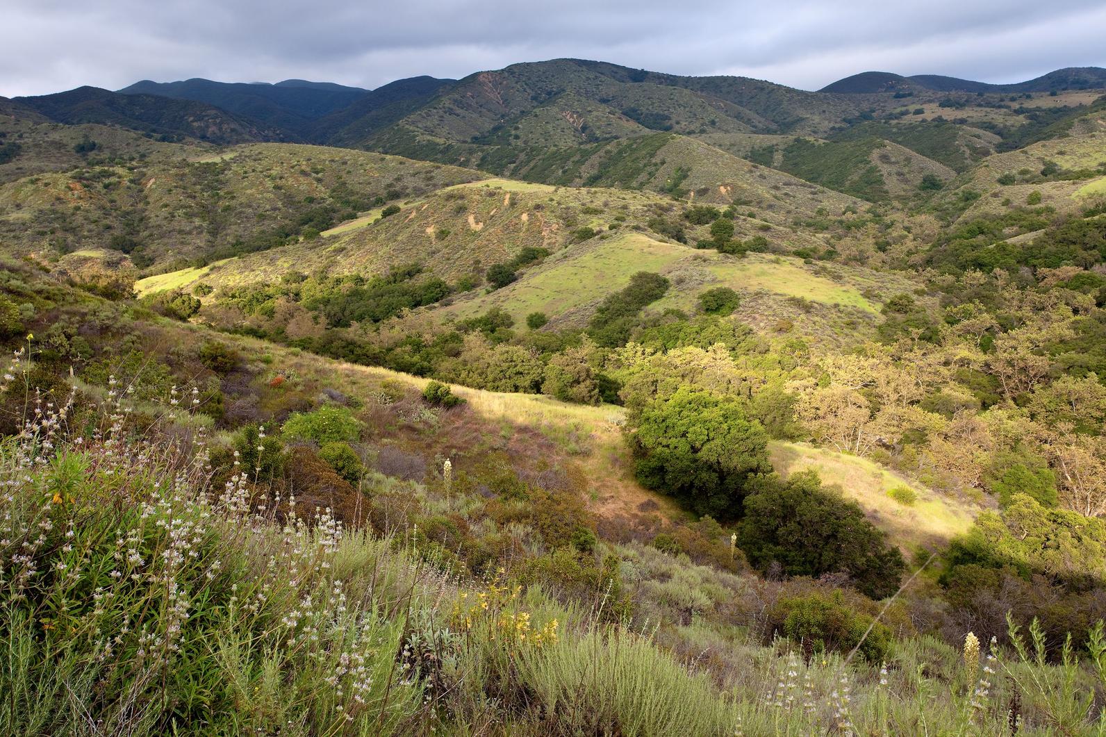 The Audubon Starr Ranch is an amazing example of wild Southern California.
