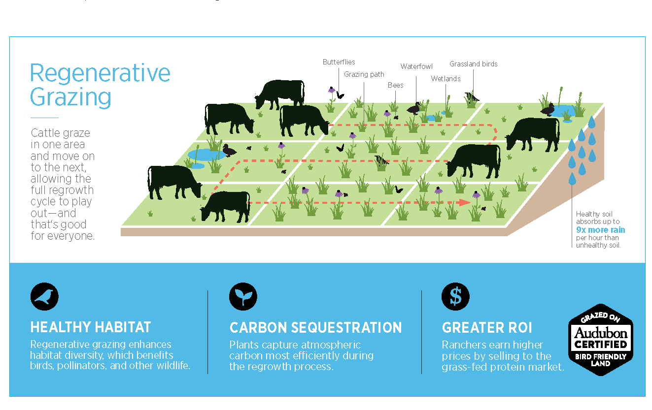 Can sweetgrass sequester carbon? Piikani Nation plans to find out