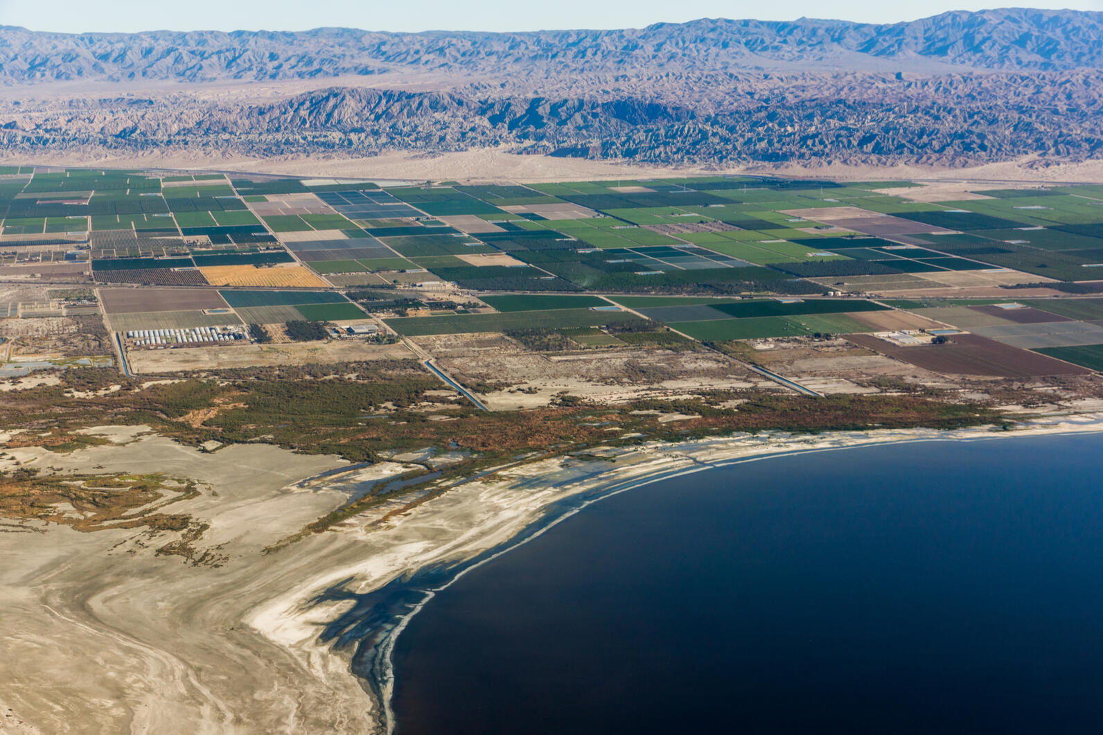Aerial photo of the Salton Sea's receding shoreline, bordered by agricultural fields