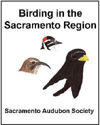 Sacramento Birds of Note — Sacramento Audubon Society