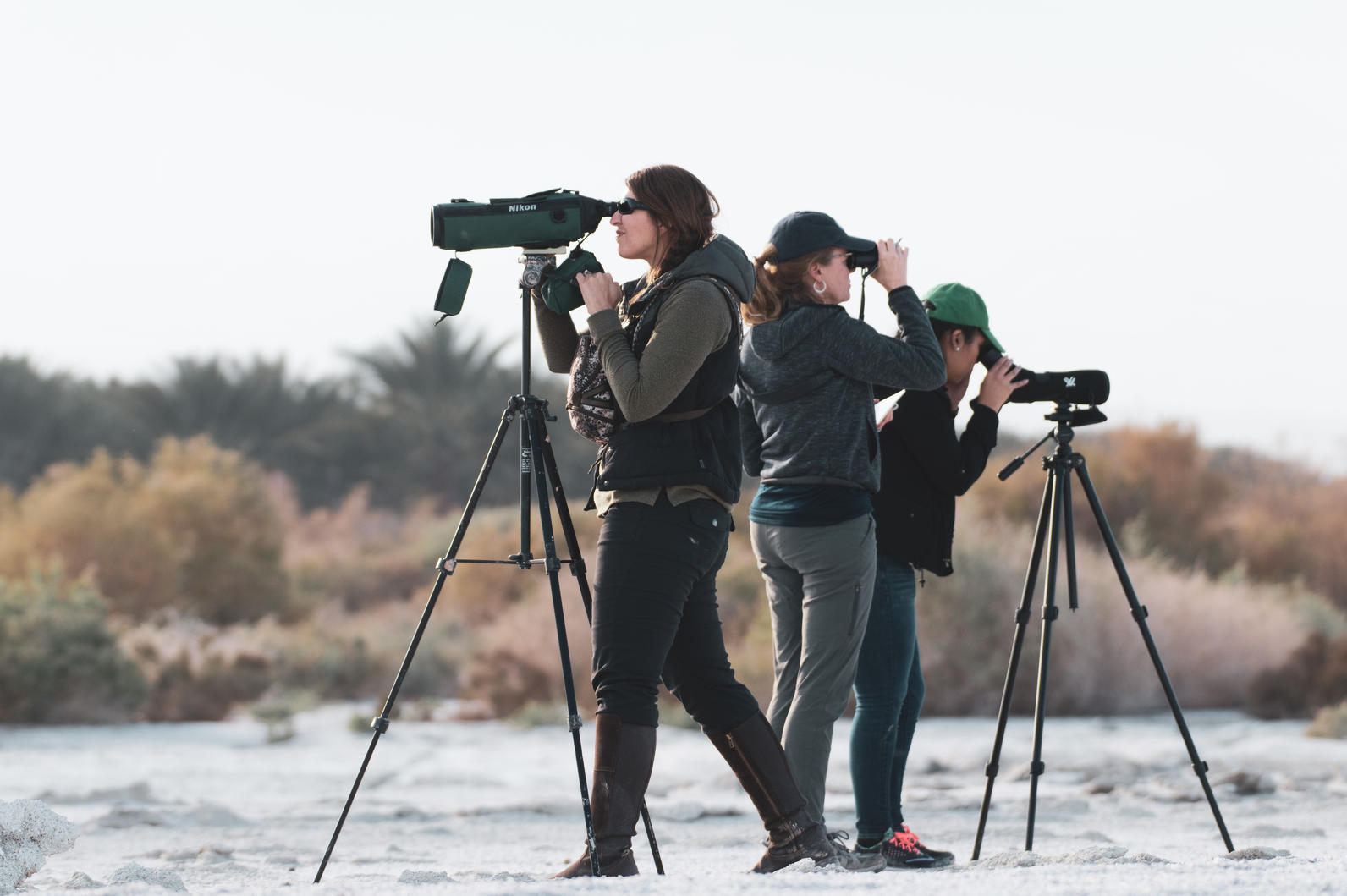 Audubon Salton Sea birds