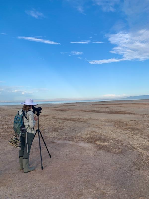 Andrea Jones, Director of Bird Conservation (Audubon California), observing and counting shorebirds at the Salton Sea through a scope during the historic Intermountain West Shorebird Survey in August 2023.