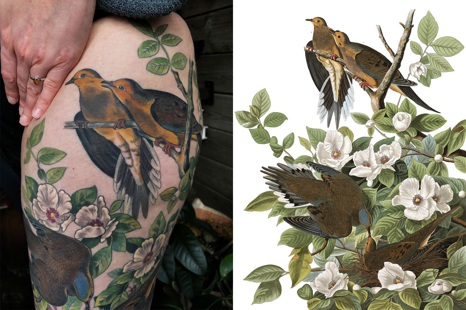 A lil bird skullllll!! Such a fan of @adarabelisleart and her allowing my  artistic freedom to flow!! #tattoo #tattoos #tattooartist #ta... | Instagram
