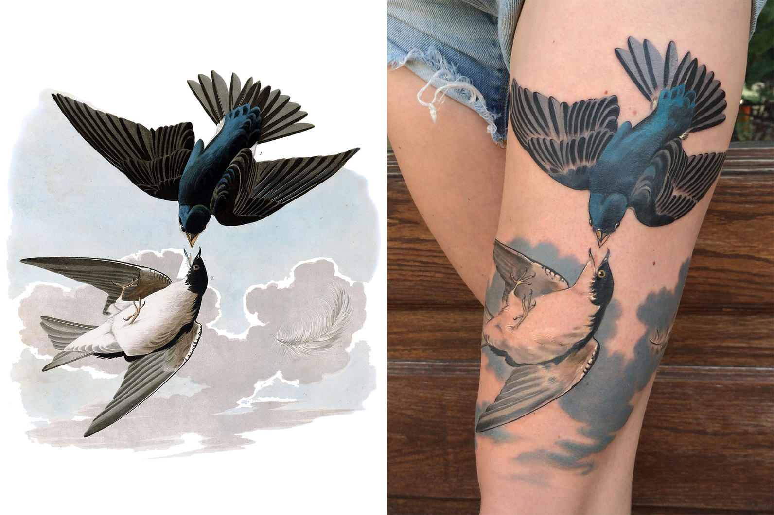 Perfect Tattoo Replicas of Audubon's Birds of America | Audubon California