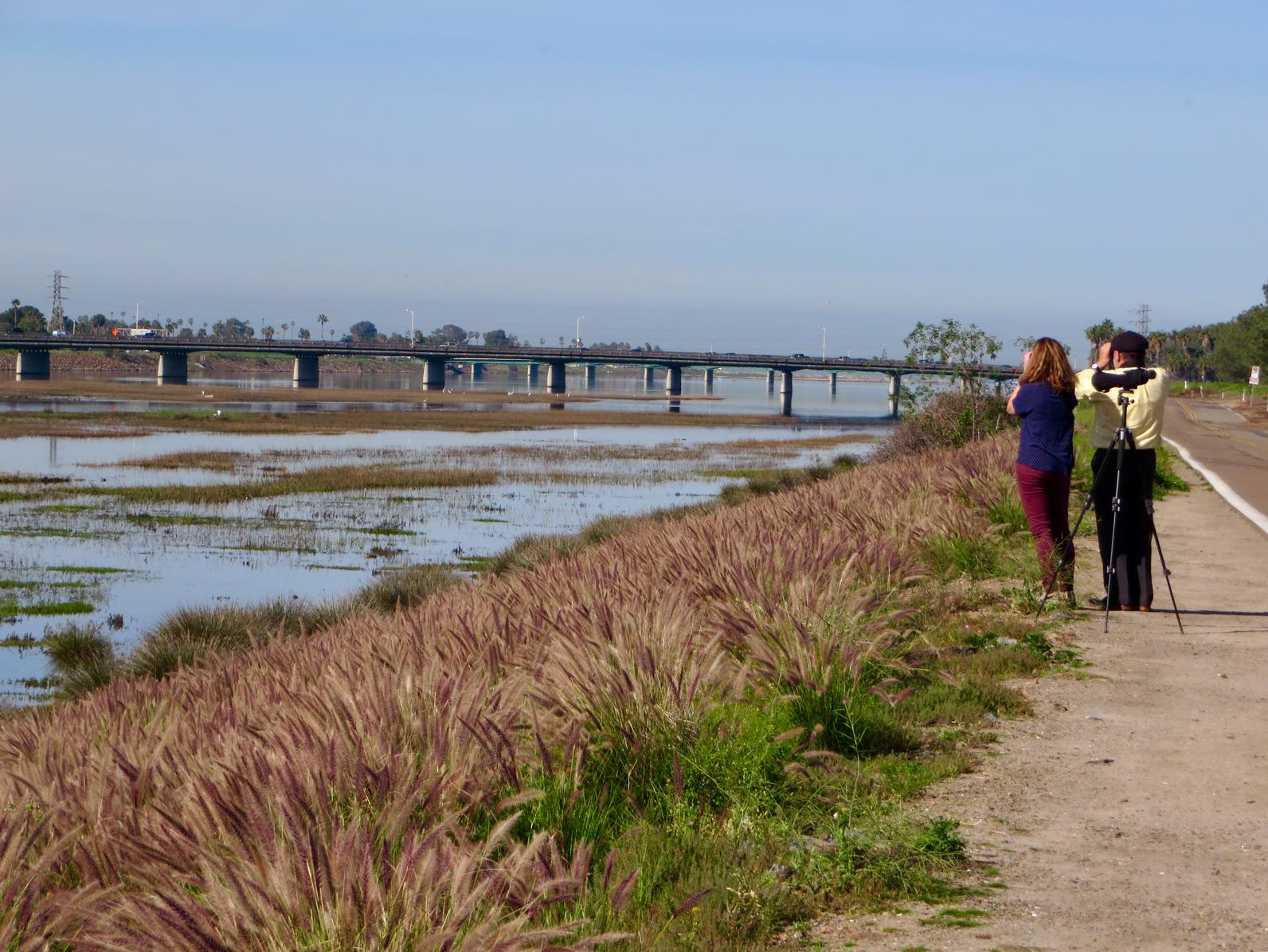 san diego audubon field trips