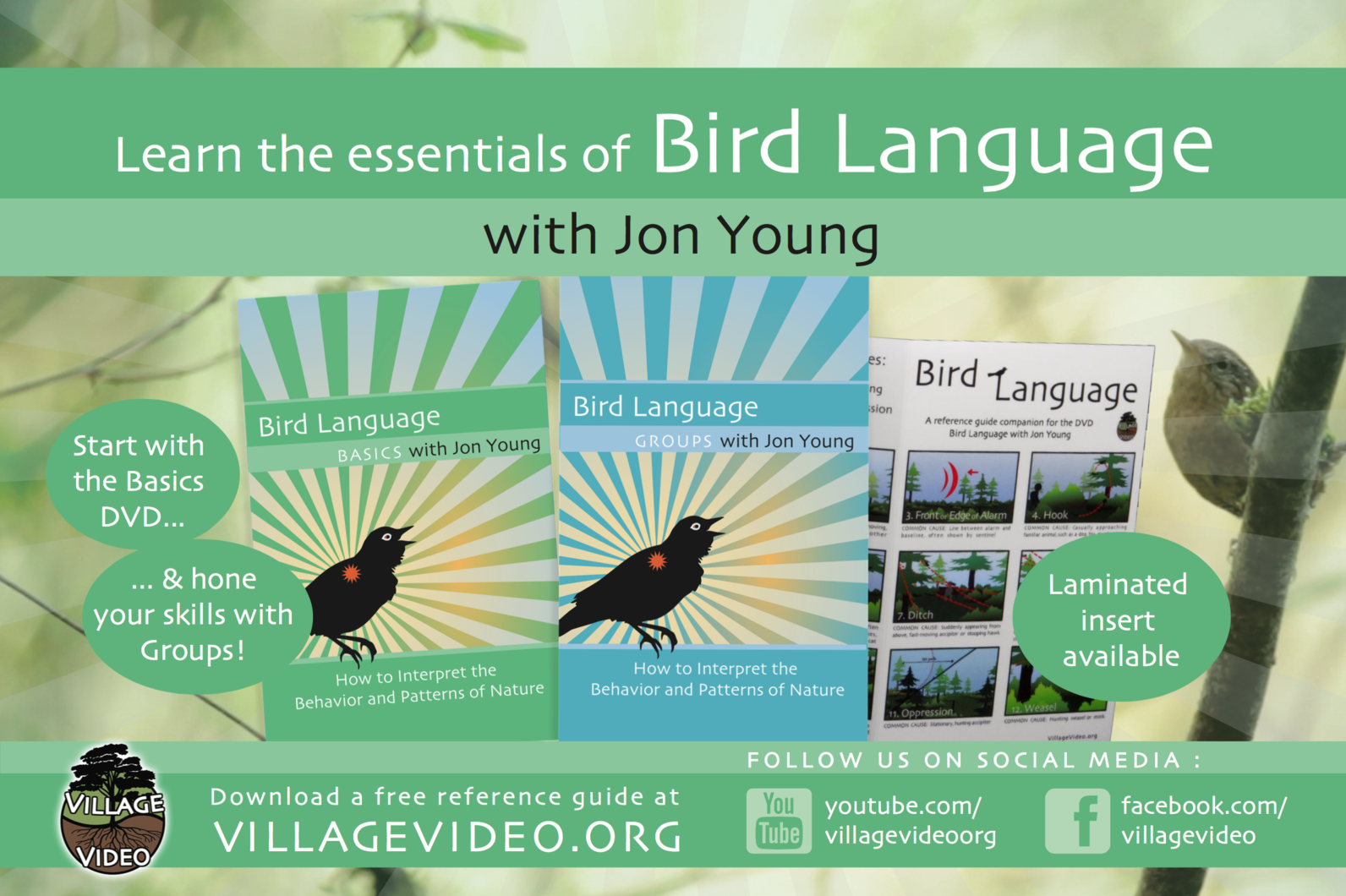 How to Learn Bird Language | Audubon California