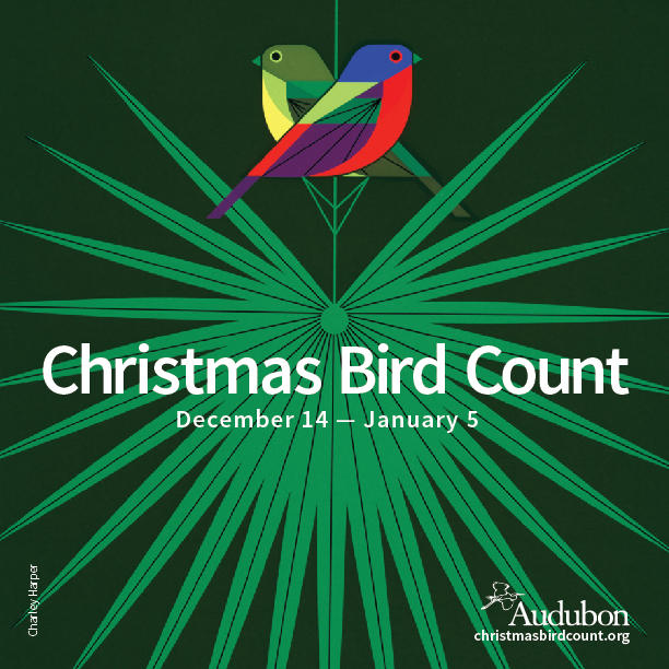 118th Christmas Bird Count Is Underway! | Audubon California