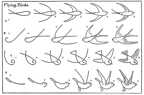 how to draw a flying bird