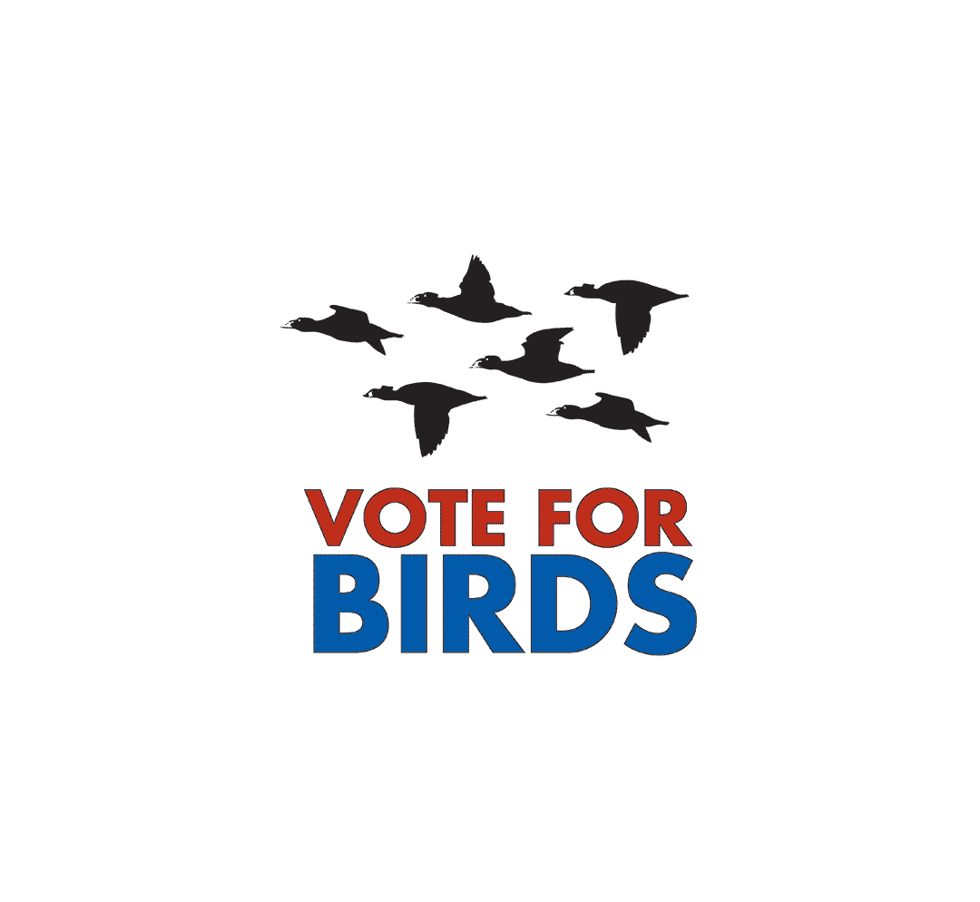 Vote for birds this Election Day | Audubon California